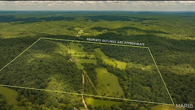 2164 Wayne 220b, Silva, MO 63964 - photo 2