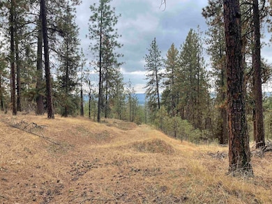 nka Rocky Top Way, Deer Park, WA 99006 - photo 3