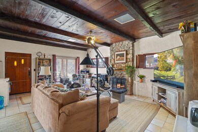 Living Room and Fireplace