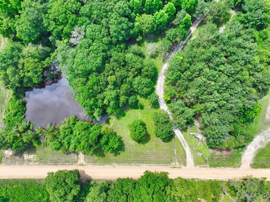 17360 Eason Crossing Rd, Boston, GA 31626 - photo 4