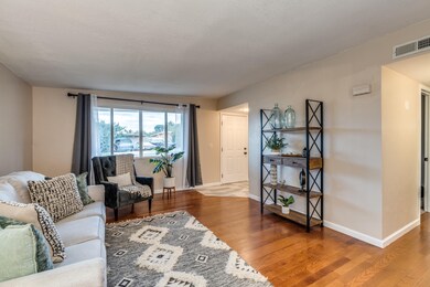 Calle Del Ensayador-12