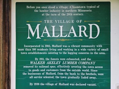 TBD 210th St, Shevlin, MN 56676 - photo 5