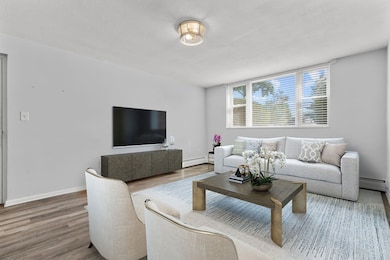 221 Minot St unit 1, Dorchester Center, MA 02124 - photo 2