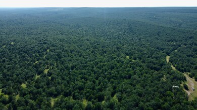 000 Tram Tr, Rattan, OK 74562 - photo 7