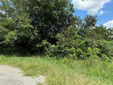 38075 Brookside Ct E, Whitney, TX 76692 - photo 4