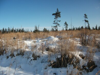 Open Meadow