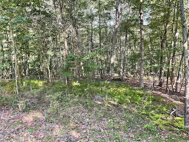 Lot 6 Cattle Pen Ln, Ridgefield, CT 06877 - photo 7