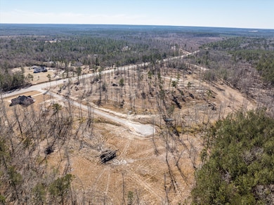 141 Alcovy Rd, Thomson, GA 30824 - photo 4