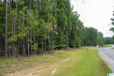 220 Boathouse Cir unit 220, Fayetteville, AL 35151 - photo 4