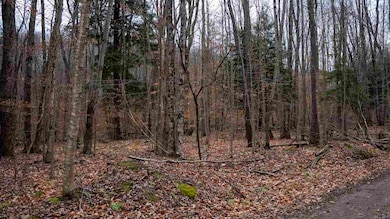 TBD Brookwood Hills Dr, Jordan Township, MI 49727 - photo 3