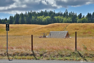 730 Gleason Ln, Langley, WA 98260 - photo 5