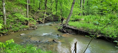 TBD Maple Run, Fairmont, WV 26554 - photo 4