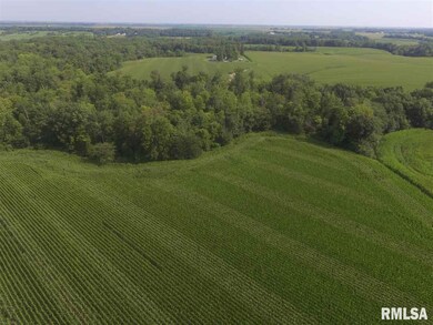 2282 Lone Rd, Ashland, IL 62612 - photo 7