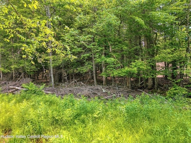 Tbd Boulder Brook Rd Lot B13, Windham, NY 12496 - photo 5