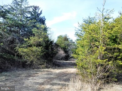 0 Jerome Rd, Mount Jackson, VA 22842 - photo 2