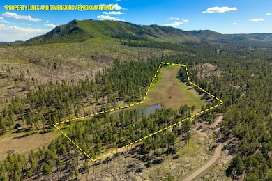 20239 Red Hill Rd, Clifton, AZ 85533 - photo 2