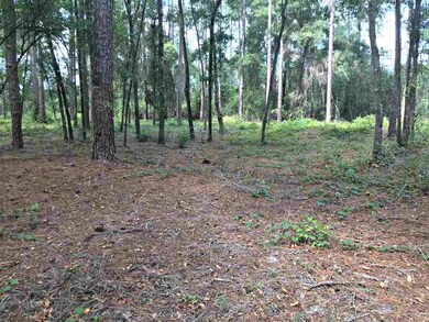 0 Casseaux Rd unit 296333, Crawfordville, FL 32327 - photo 2