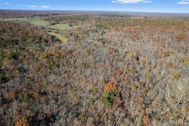 6827 Wayne 505, Greenville, MO 63944 - photo 3