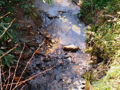 Stream: There is a great place by the stream to do