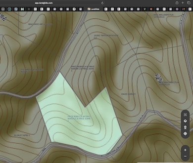 0 Rolling Hills Rd unit RTC3061232, Lobelville, TN 37097 - photo 6