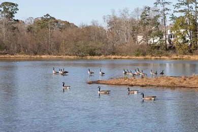 Beautiful Cagle Lake in Edgewater Community