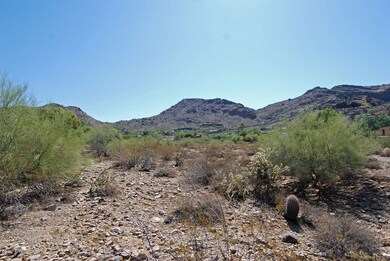 East View