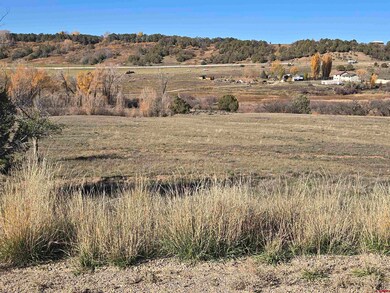 1308 Wrangler Way, Durango, CO 81303 - photo 6