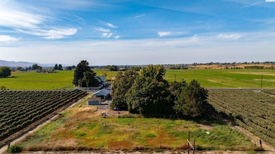 10901 N Pioneer Rd, Prosser, WA 99350 - photo 2