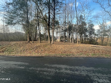 Tbd Hill Station Alley Rd, Gate City, VA 24251 - photo 3