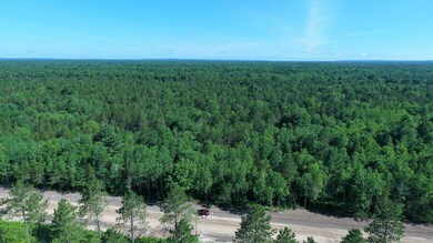 0 72nd St unit A 21020958, Idlewild, MI 49642 - photo 4