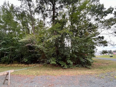 Lot 128 Octopus Rd unit 128, Greenbackville, VA 23356 - photo 6