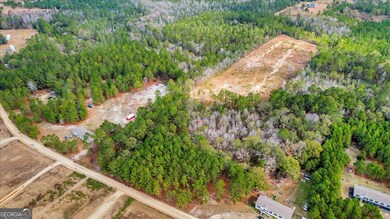 720 S T Morris Rd NE, Ludowici, GA 31316 - photo 3