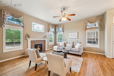 9659 Carriage Creek Point, Colorado Springs, CO 80920 - photo 5