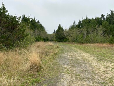 IMG-0729