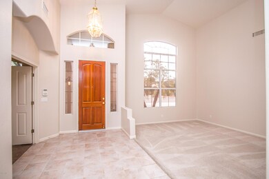 Grand entry - soaring ceilings