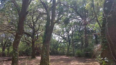 4290 Parlange Cir, Cantonment, FL 32533 - photo 2