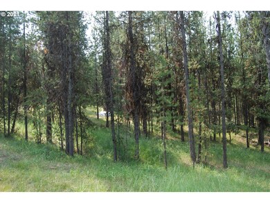 0 Main St, Sumpter, OR 97877 - photo 4