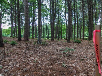 0000-Unit 39 Trailside Dr, Weldon Township, MI 49683 - photo 7