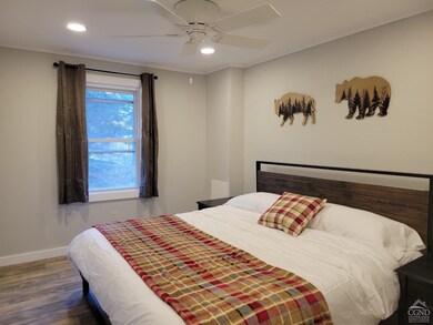 35 Ski Bowl Rd, Hunter, NY 12442 - photo 6