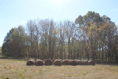 12000 Center Hill Rd, Mineral Wells, MS 38654 - photo 4