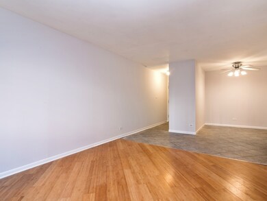 611 W Patterson Ave unit 104, Chicago, IL 60613 - photo 5