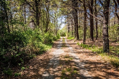 8 Blue Heron Way, Edgartown, MA 02539 - photo 3