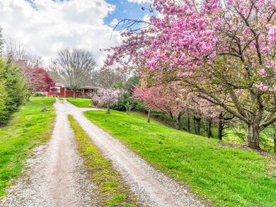 239 Martin Branch Rd, Leicester, NC 28748 - photo 2