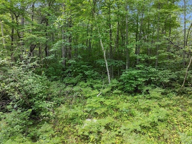 Lot 23-188-187 Saint Moritz Blvd, Breezy Point, MN 56472 - photo 4