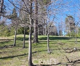 42 Park Dr, Running Springs Area, CA 92382 - photo 2