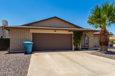 06 - Sahuaro