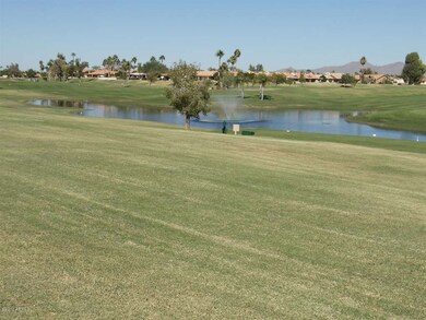 Back Yard View