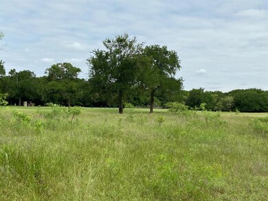 17025 Trailwood Dr, Whitney, TX 76692 - photo 2