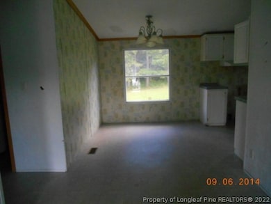 1111 Pony Farm Dr unit Q, Siler City, NC 27344 - photo 4