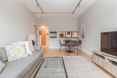 143 W Brookline St unit 307, Boston, MA 02118 - photo 3